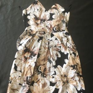 💫 Evening Elegance Dress 💫